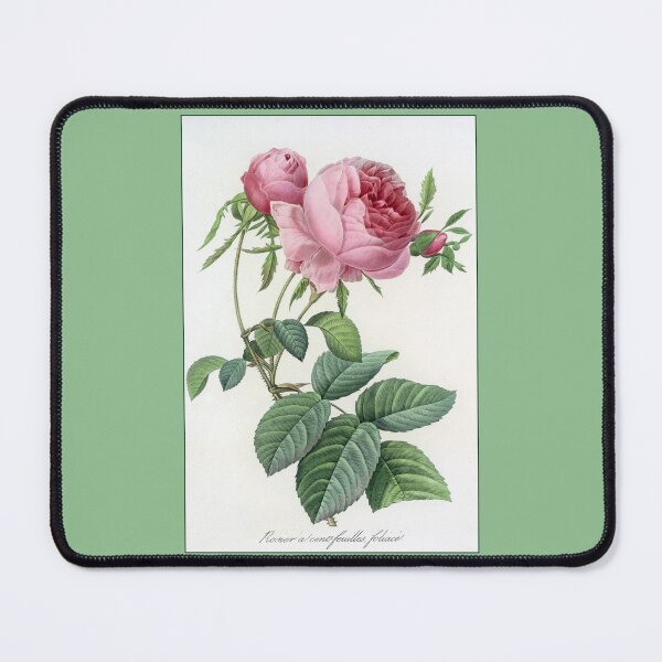 Item preview, Pierre-Joseph Redouté: Rose designed and sold by Tridentulus.