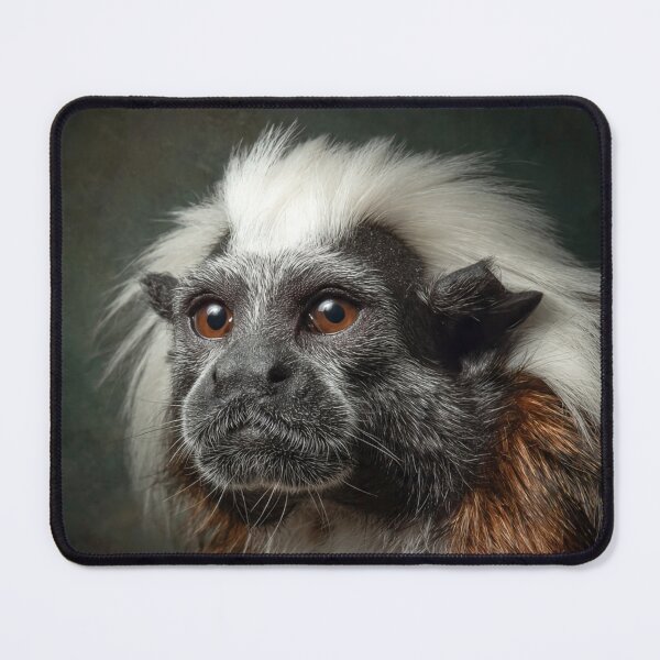 Item preview, Cotton-Top Tamarin designed and sold by Savannah Gibbs.