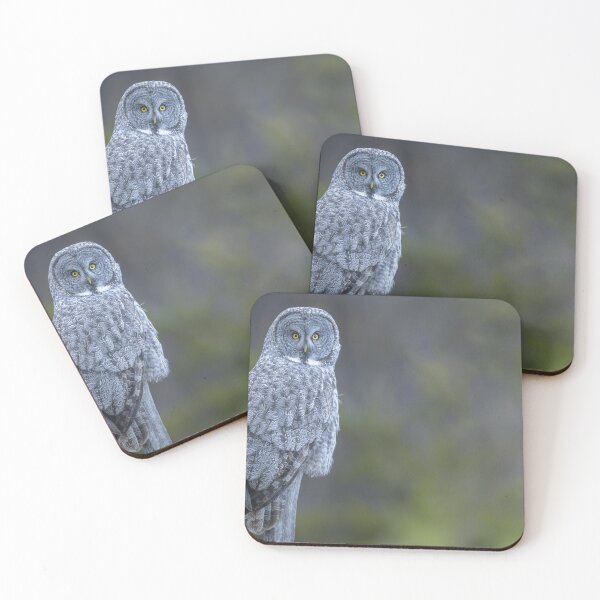Item preview, Majestic Great Gray Owl Perched designed and sold by Puttaswamy Ravishankar.