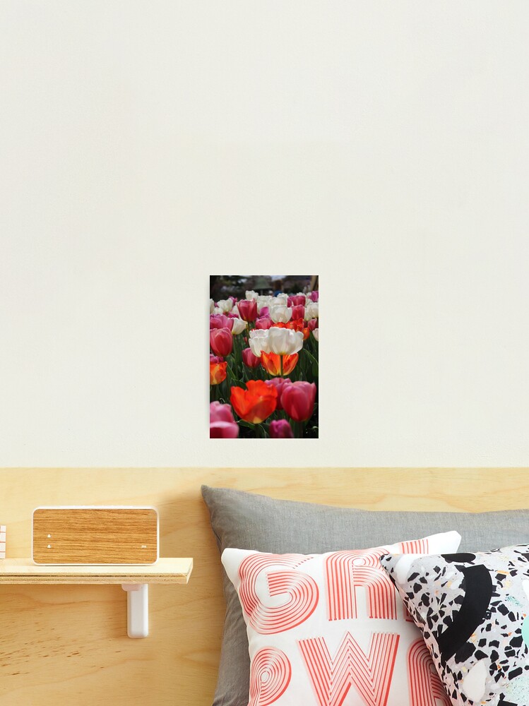Aperçu 2 sur 3. Impression photo avec l'œuvre tulipes25 créée et vendue par RREID84.