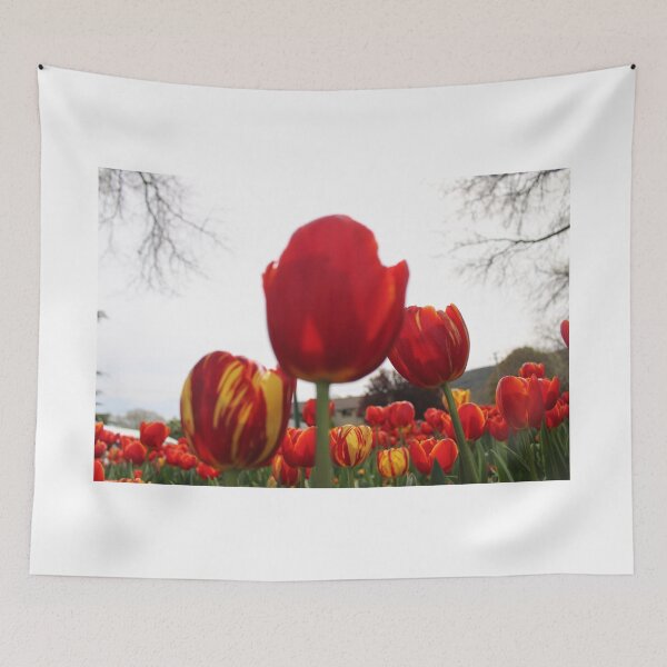 Aperçu de l'œuvre TULIPE ROUGE créée et vendue par RREID84.