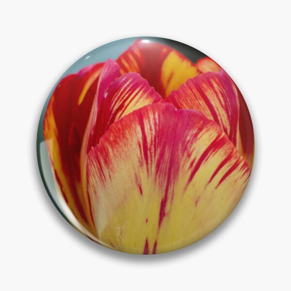 Item preview, MultiColour Tulip designed and sold by RREID84.