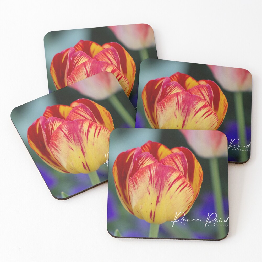 Item preview, Coasters (Set of 4) designed and sold by RREID84.
