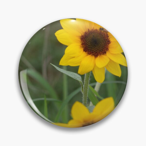 Item preview, 2 sunflowers designed and sold by RREID84.