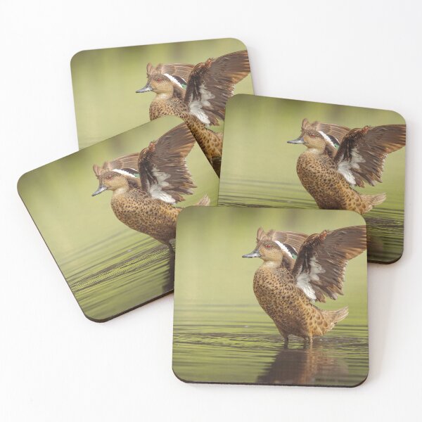 Item preview, Grey Teal Duck designed and sold by robdwildlife.