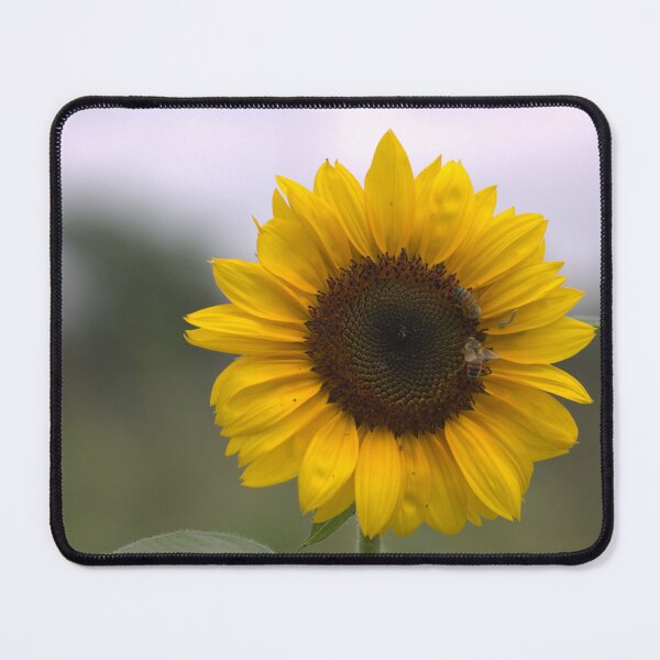 Item preview, Bold Sunflowers designed and sold by RREID84.