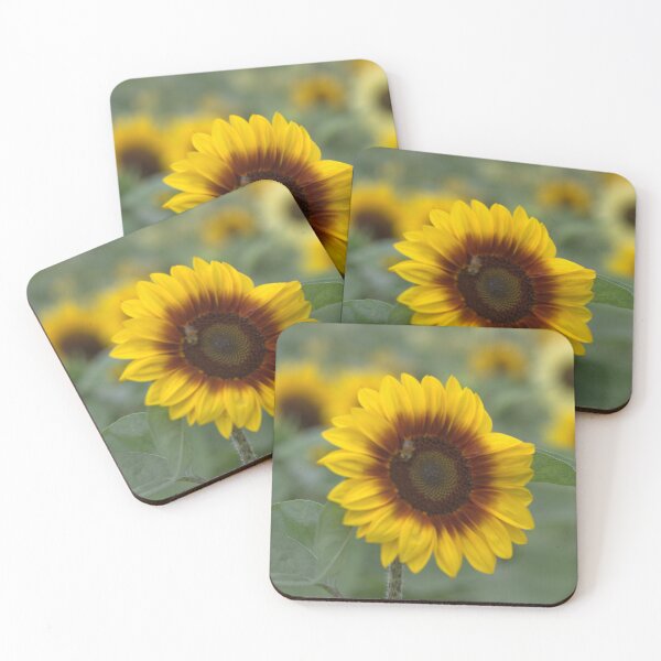 Item preview, TWO TONE SUNFLOWER designed and sold by RREID84.