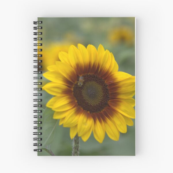 Item preview, TWO TONE SUNFLOWER designed and sold by RREID84.