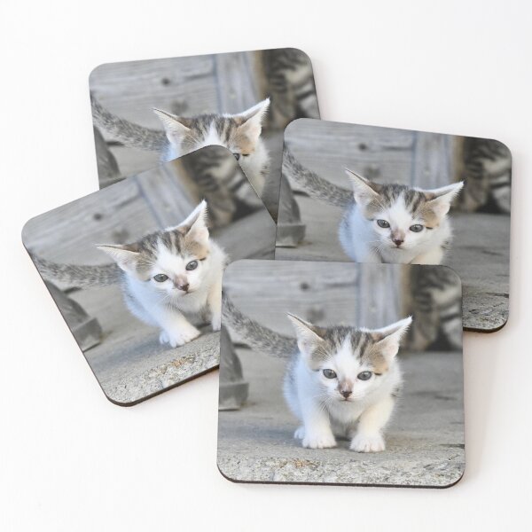 Item preview, Dreamily cute baby kitten – its gaze and expression are enchanting / Swiss Artwork Photography designed and sold by Raphael Wolf.