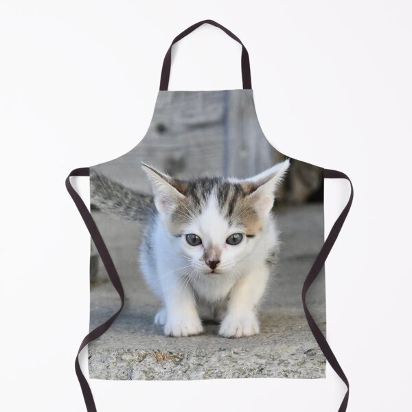 Item preview, Dreamily cute baby kitten – its gaze and expression are enchanting / Swiss Artwork Photography designed and sold by Raphael Wolf.