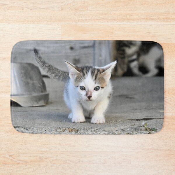Item preview, Dreamily cute baby kitten – its gaze and expression are enchanting / Swiss Artwork Photography designed and sold by Raphael Wolf.