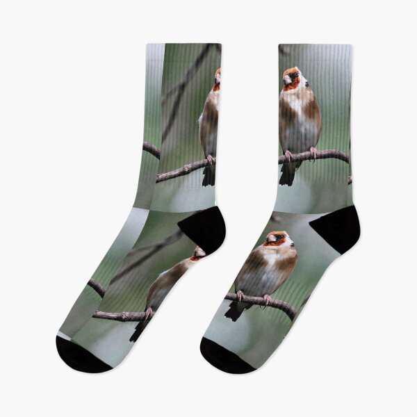 Item preview, jilguero designed and sold by KathleenDawson.