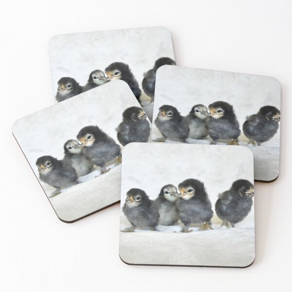 Item preview, Four chicks – a new beginning in life / Swiss Artwork Photography designed and sold by Raphael Wolf.