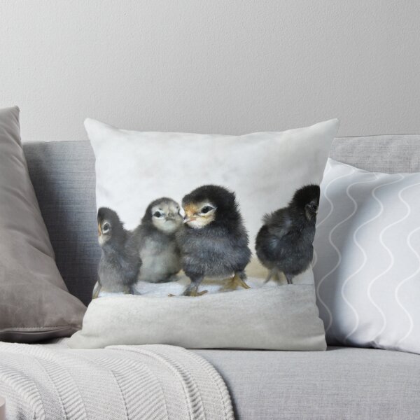 Item preview, Four chicks – a new beginning in life / Swiss Artwork Photography designed and sold by Raphael Wolf.