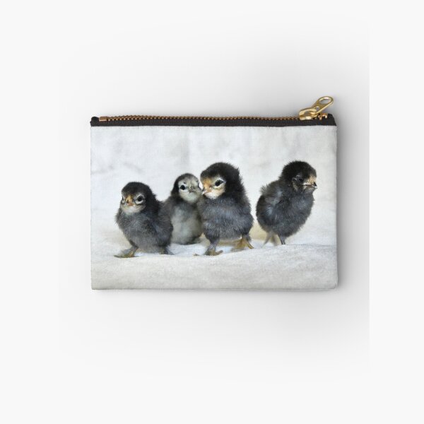 Item preview, Four chicks – a new beginning in life / Swiss Artwork Photography designed and sold by Raphael Wolf.
