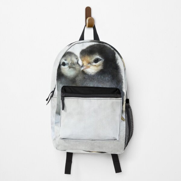 Item preview, Four chicks – a new beginning in life / Swiss Artwork Photography designed and sold by Raphael Wolf.