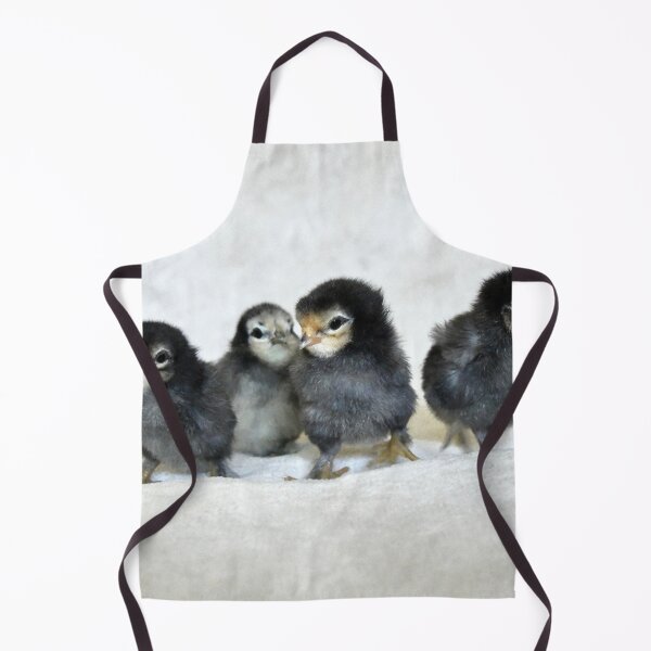 Item preview, Four chicks – a new beginning in life / Swiss Artwork Photography designed and sold by Raphael Wolf.