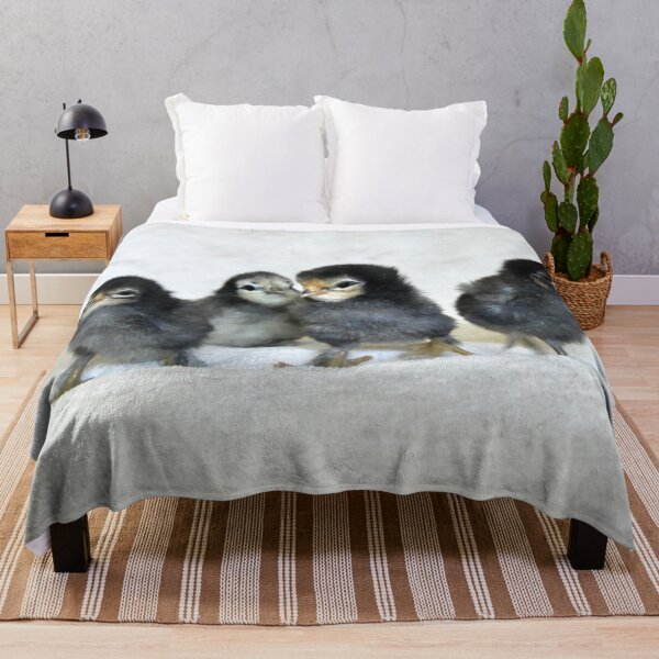 Item preview, Four chicks – a new beginning in life / Swiss Artwork Photography designed and sold by Raphael Wolf.