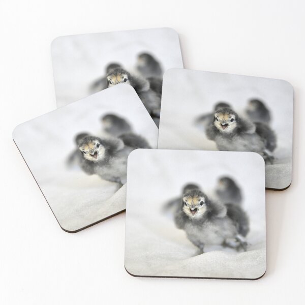 Item preview, Chicks – Courageous First Step / Swiss Artwork Photography designed and sold by Raphael Wolf.