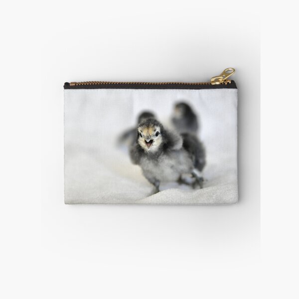 Item preview, Chicks – Courageous First Step / Swiss Artwork Photography designed and sold by Raphael Wolf.