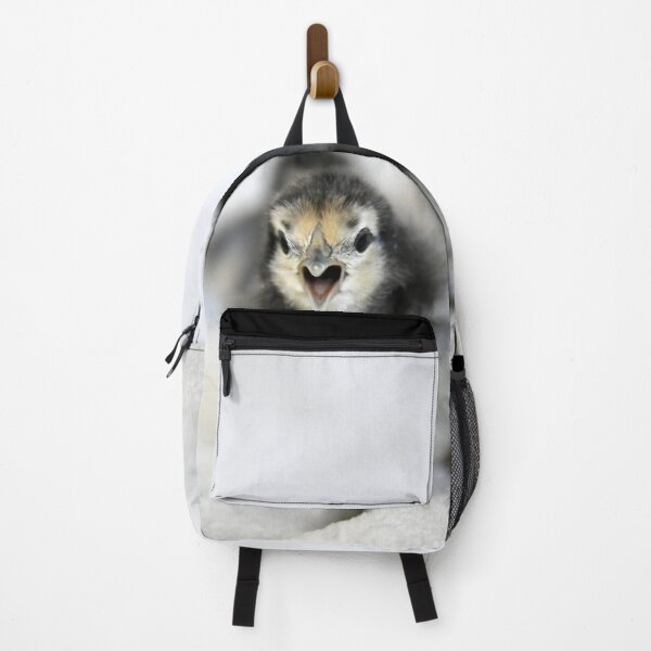 Item preview, Chicks – Courageous First Step / Swiss Artwork Photography designed and sold by Raphael Wolf.