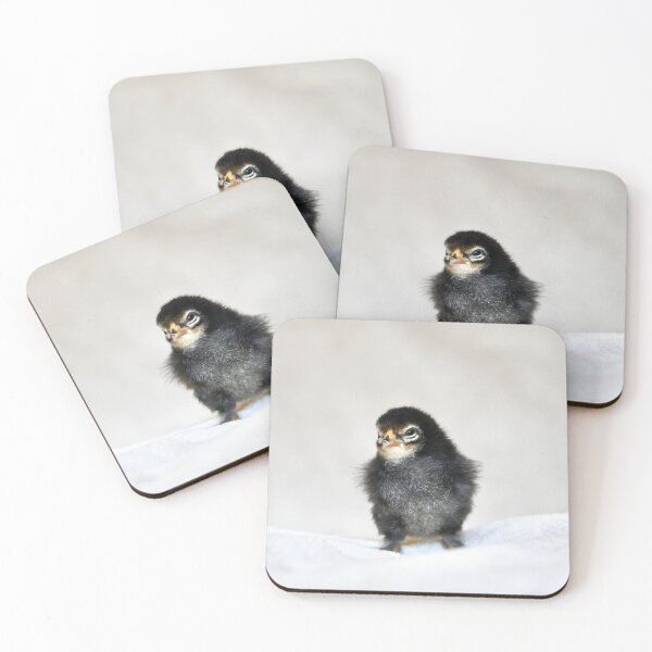 Item preview, Dark Chick – Curious and Skeptical / Swiss Artwork Photography designed and sold by Raphael Wolf.