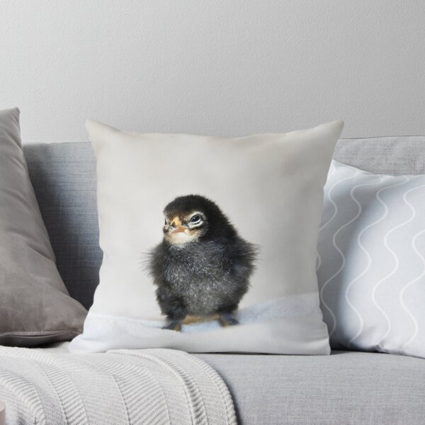 Item preview, Dark Chick – Curious and Skeptical / Swiss Artwork Photography designed and sold by Raphael Wolf.
