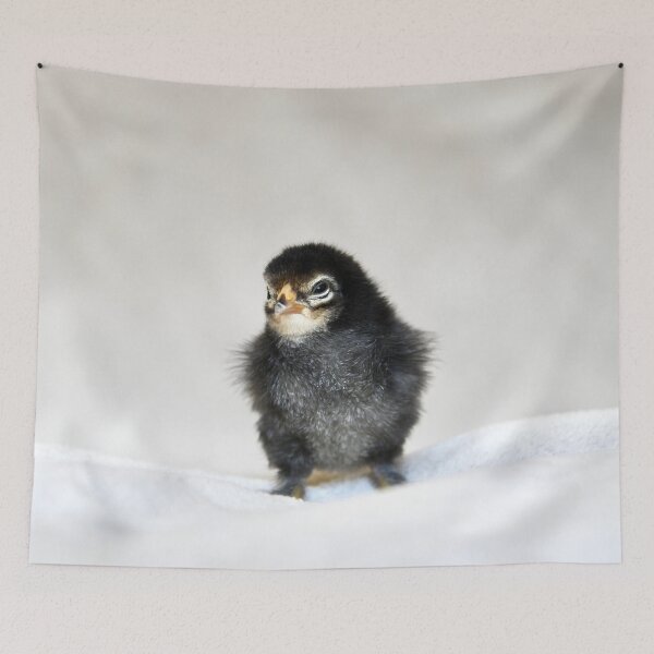 Item preview, Dark Chick – Curious and Skeptical / Swiss Artwork Photography designed and sold by Raphael Wolf.