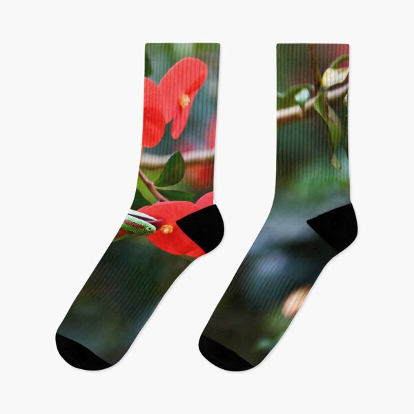 Item preview, Madagascar Day Gecko – Nectar Lust / Swiss Artwork Photography designed and sold by Raphael Wolf.