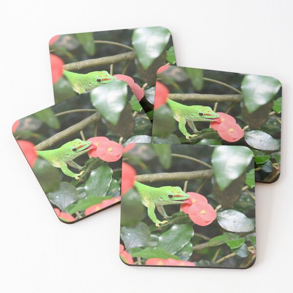 Item preview, Madagascar day gecko – cheeky at the nectar / Swiss Artwork Photography designed and sold by Raphael Wolf.