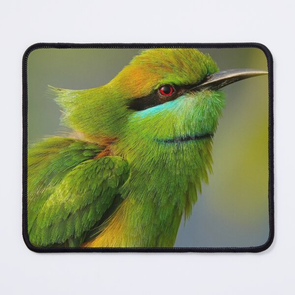 Item preview, Colorful Green Bee-Eater Perched designed and sold by Poligrengarden.