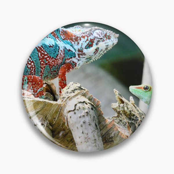 Item preview, Chameleon & Madagascan Day Gecko – Fascinating eye contact / Swiss art photography designed and sold by Raphael Wolf.