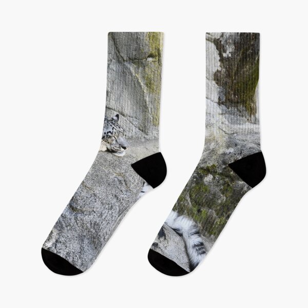 Item preview, Snow Leopard – Peace Behind the Rock / Swiss Artwork Photography designed and sold by Raphael Wolf.