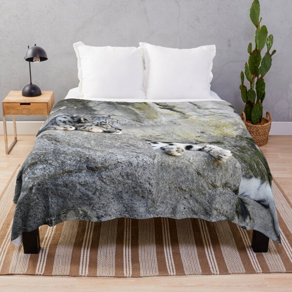 Item preview, Snow Leopard – Peace Behind the Rock / Swiss Artwork Photography designed and sold by Raphael Wolf.