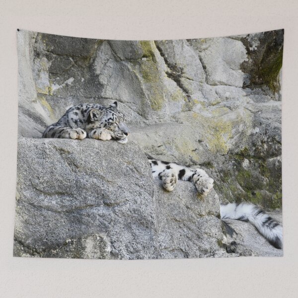 Item preview, Snow Leopard – Peace Behind the Rock / Swiss Artwork Photography designed and sold by Raphael Wolf.