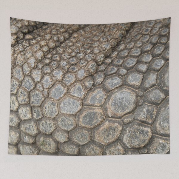 Item preview, Giant tortoises – close-up of the skin / Swiss Artwork Photography designed and sold by Raphael Wolf.