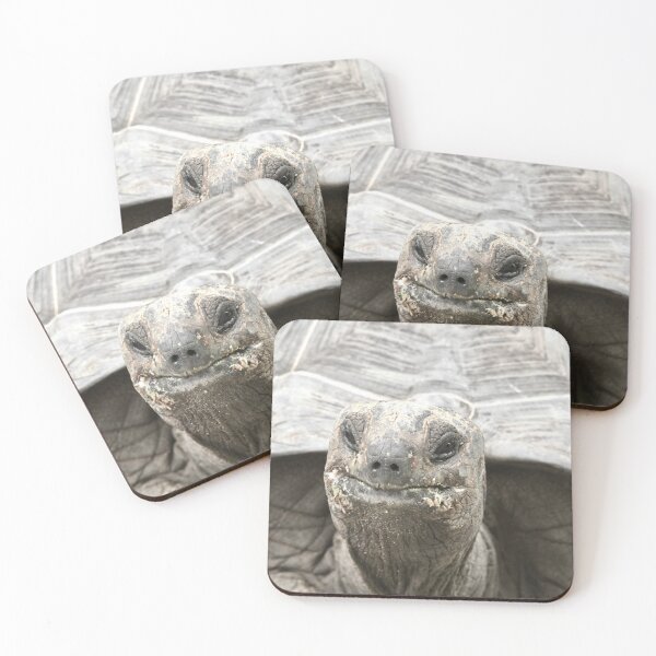 Item preview, Giant tortoise – Majestic view / Swiss Artwork Photography designed and sold by Raphael Wolf.