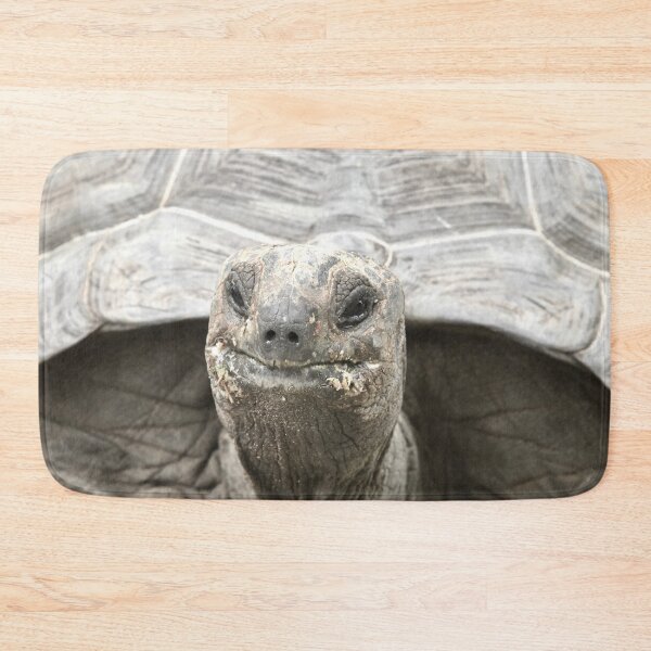Item preview, Giant tortoise – Majestic view / Swiss Artwork Photography designed and sold by Raphael Wolf.