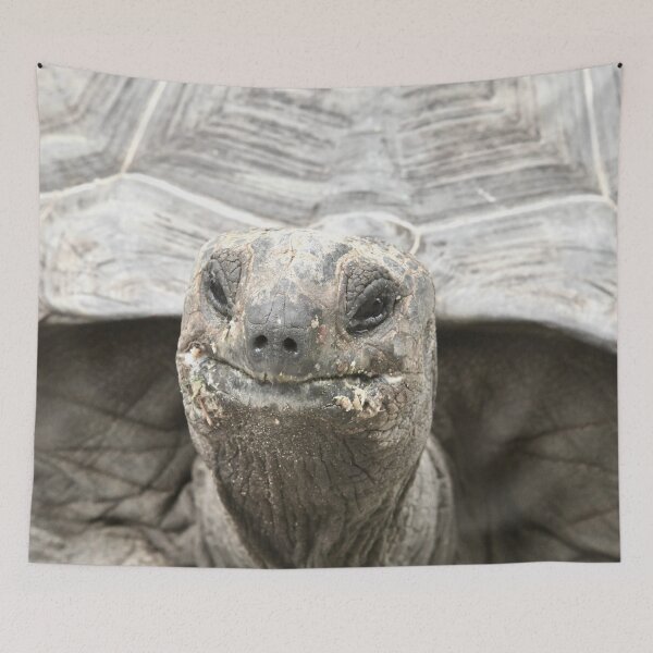 Item preview, Giant tortoise – Majestic view / Swiss Artwork Photography designed and sold by Raphael Wolf.