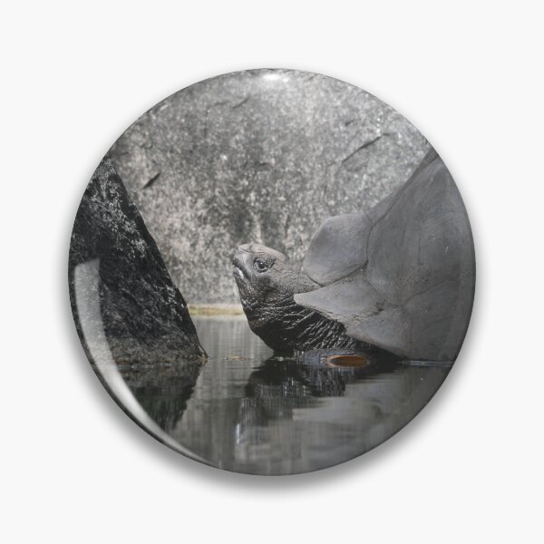 Item preview, Giant tortoise – a reflection of nature / Swiss Artwork Photography designed and sold by Raphael Wolf.
