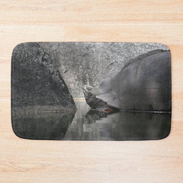 Item preview, Giant tortoise – a reflection of nature / Swiss Artwork Photography designed and sold by Raphael Wolf.