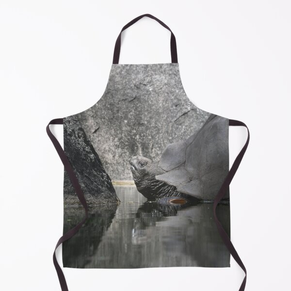 Item preview, Giant tortoise – a reflection of nature / Swiss Artwork Photography designed and sold by Raphael Wolf.