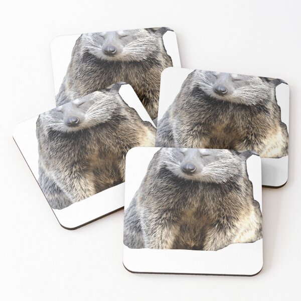 Item preview, Bearcat designed and sold by ChelseaSpain.