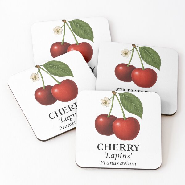 Item preview, Cherry ‘Lapins’ – Prunus avium designed and sold by BloomKind.
