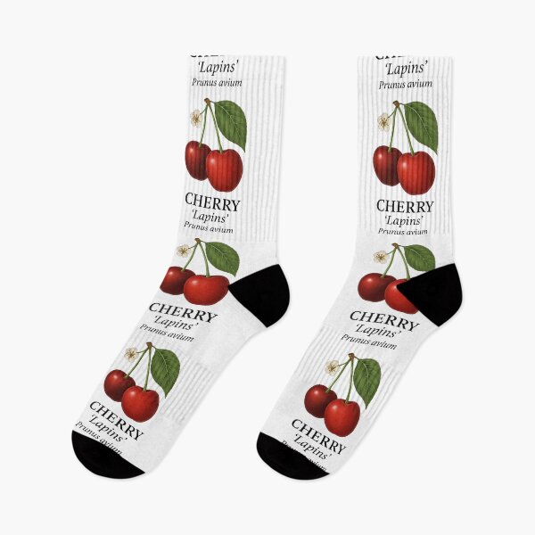 Item preview, Cherry ‘Lapins’ – Prunus avium designed and sold by BloomKind.