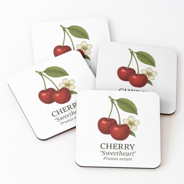 Item preview, Cherry ‘Sweetheart’ – Prunus avium designed and sold by BloomKind.