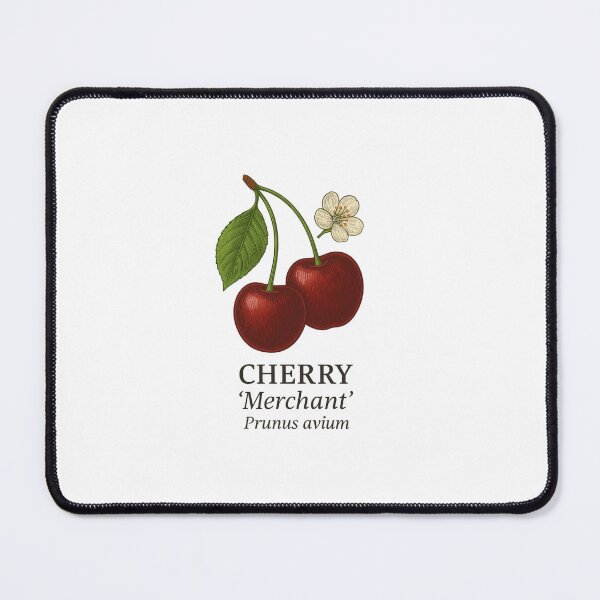 Item preview, Cherry ‘Merchant’ – Prunus avium designed and sold by BloomKind.