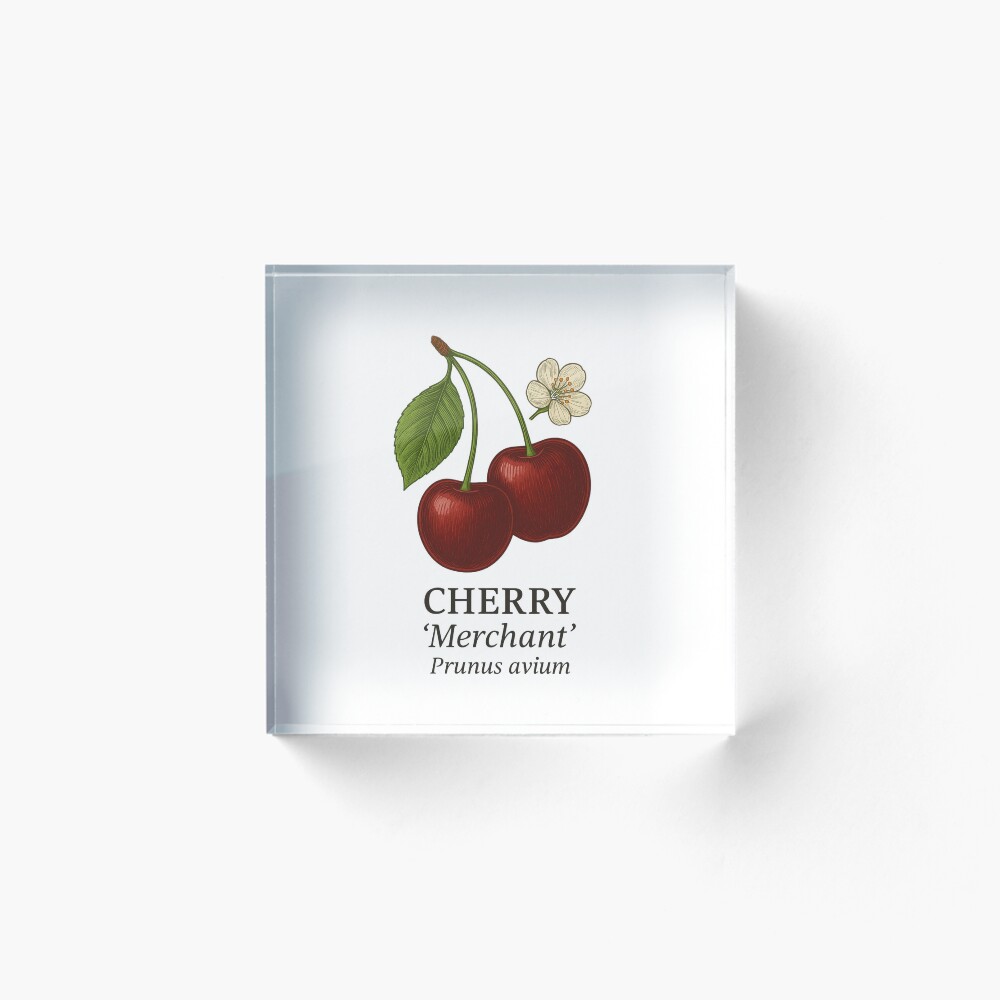 Item preview, Acrylic Block designed and sold by BloomKind.