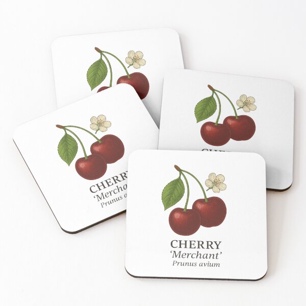 Item preview, Cherry ‘Merchant’ – Prunus avium designed and sold by BloomKind.