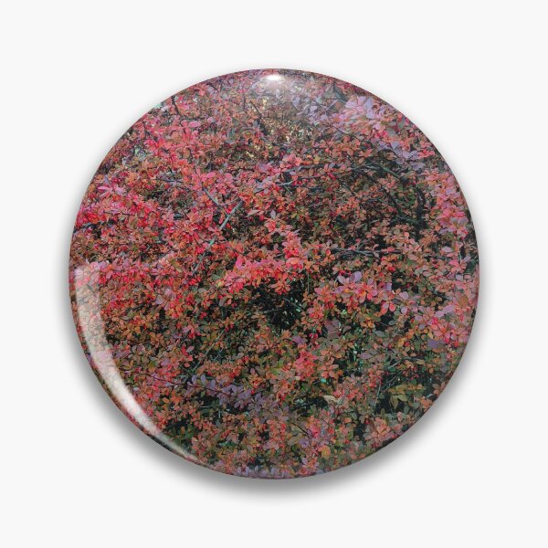Item preview, autumn, barberry, nature, leaf, leaves designed and sold by colorgallery11.